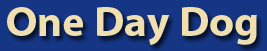 One Day Dog