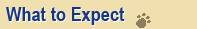 What to Expect