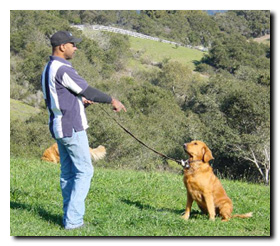 He sits not because he wants to, but because Steve says so.