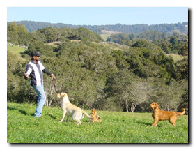 Steve looks like he's just playing!